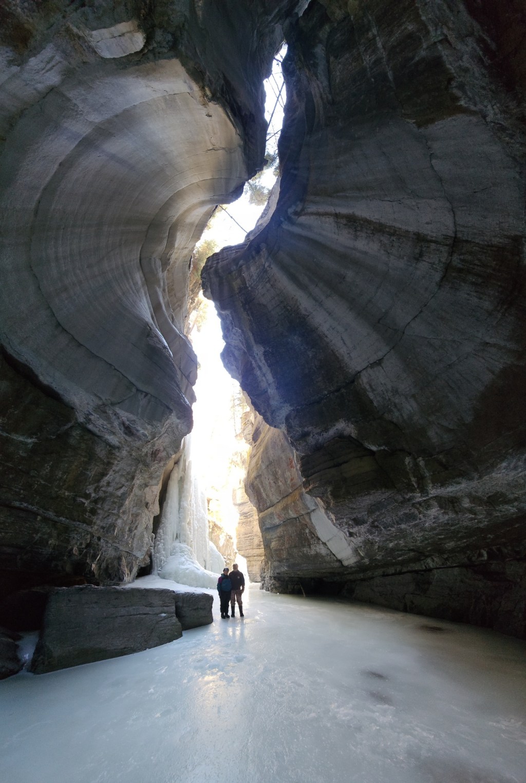 Day Eight, Jasper National&nbsp;Park