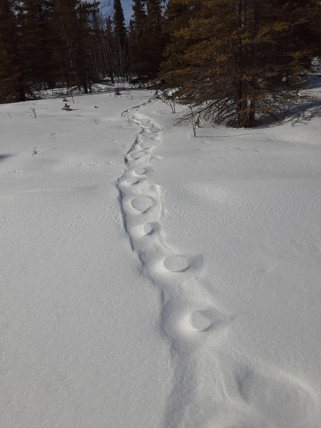 Tracks II, Week 5 in&nbsp;Healy