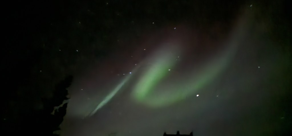 Aurora II,  Week 4 in&nbsp;Healy