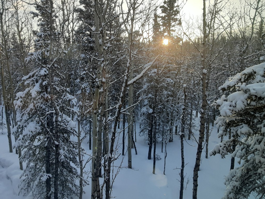 April Sunrise in Healy Alaska