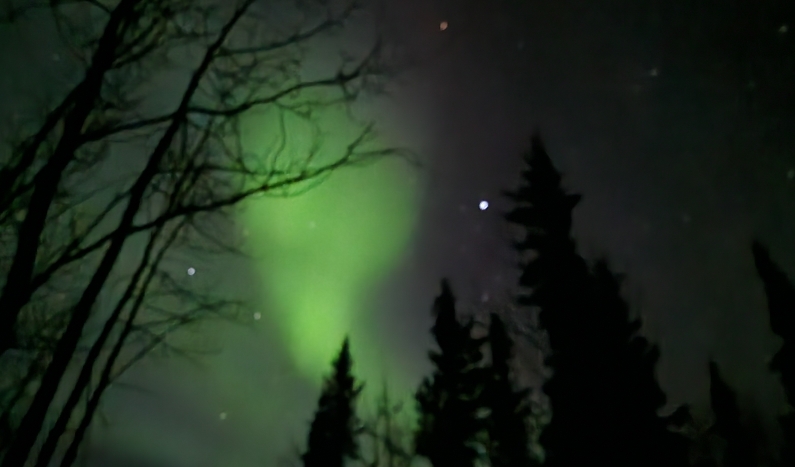 Aurora III, Week 5 in&nbsp;Healy