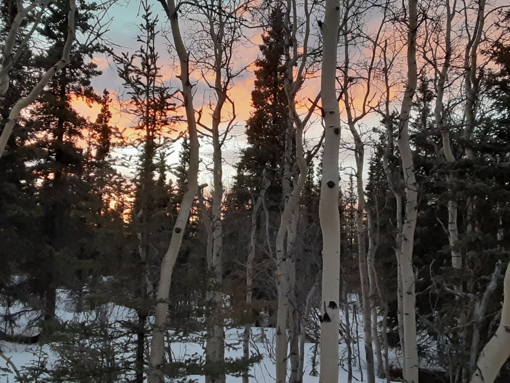 Twilight II, Week 7 in&nbsp;Healy