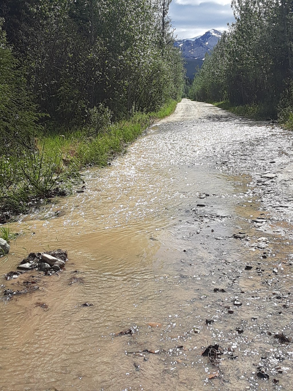 Mind Stretching,  Week 13 in&nbsp;Healy