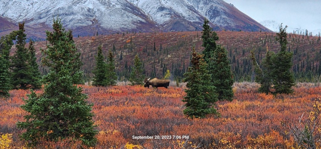 Day One, Healy to&nbsp;Palmer