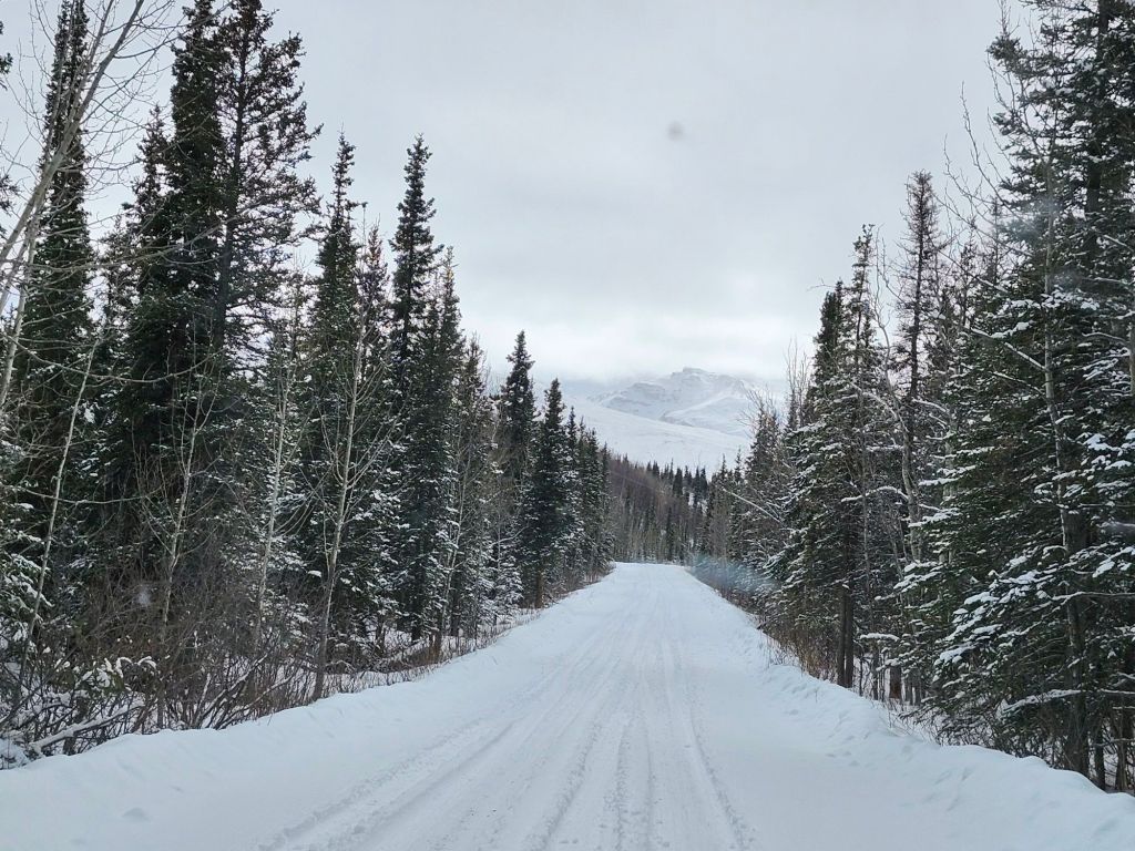 Day 10, Arrived in Healy April 13