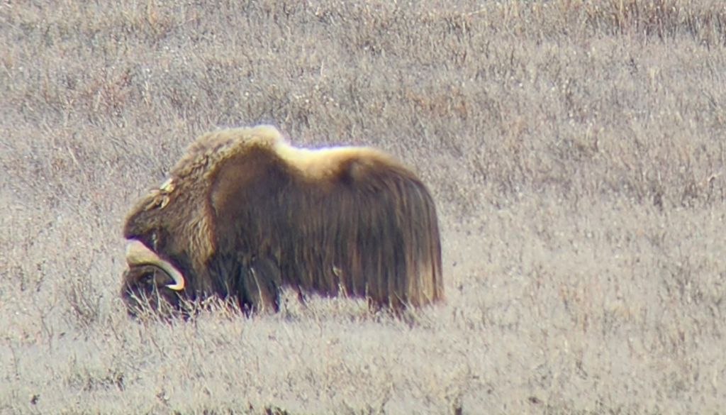 Dalton Highway, Part&nbsp;I