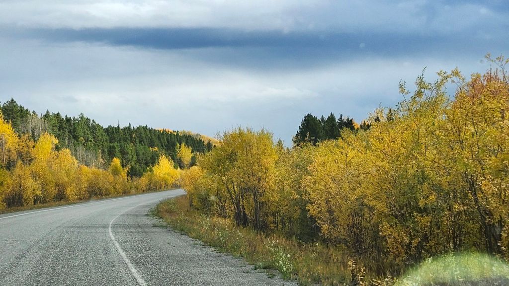 Fall colors on Alaska Highway near Teslin