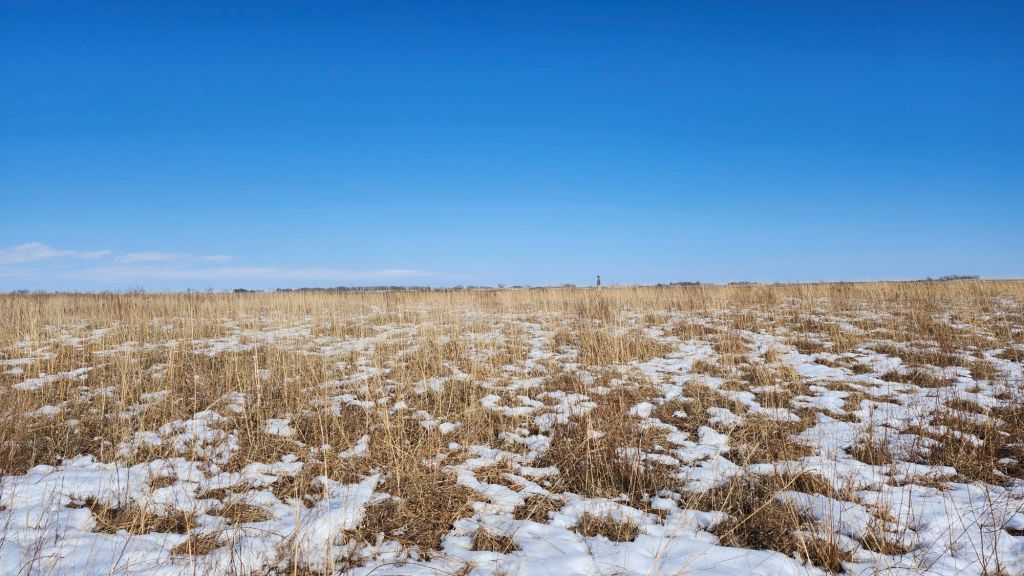 Day Five Bluestem Prairie Spring&nbsp;2025