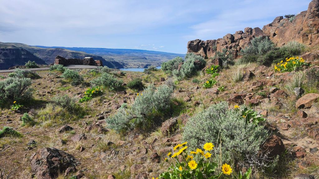 Day Nine Travel to Alaska Spring&nbsp;2025