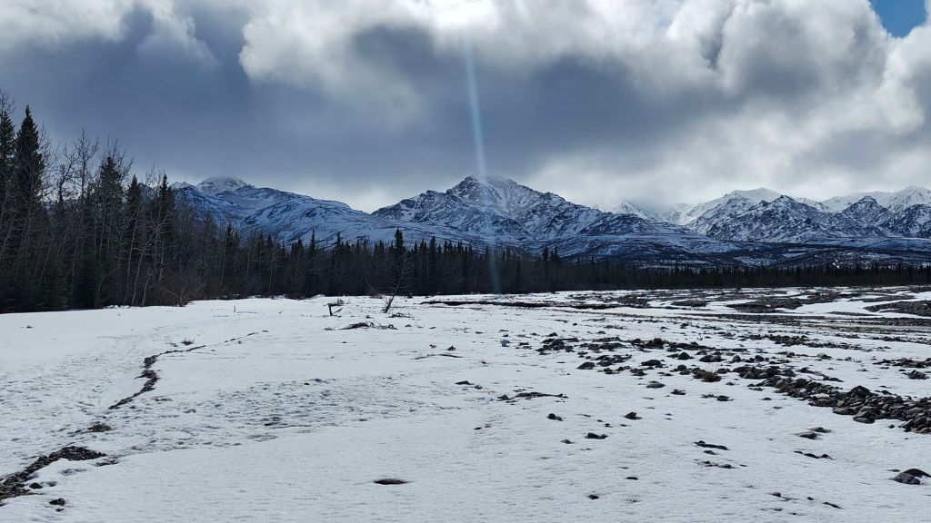 Tracks in the&nbsp;Snow