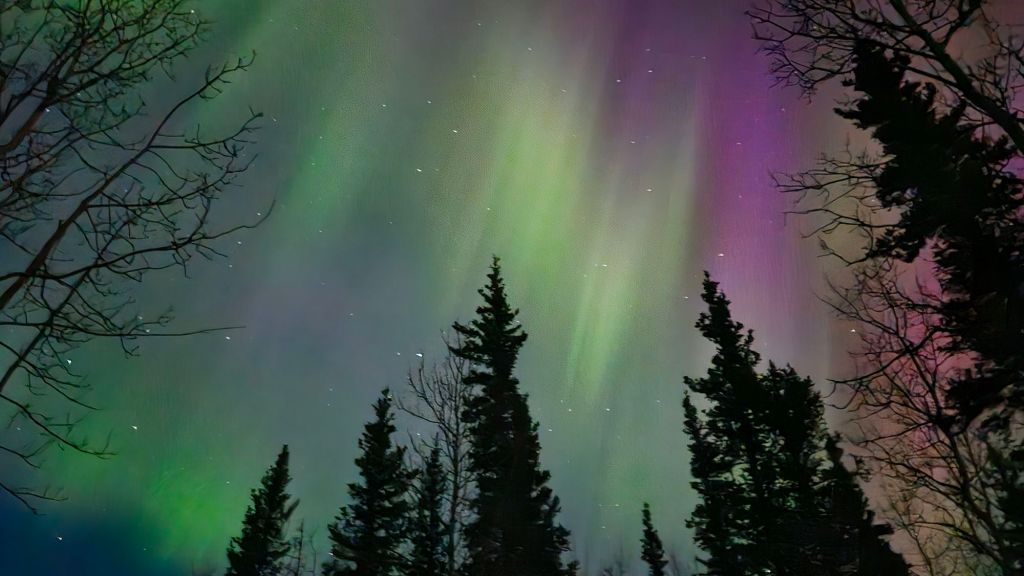 Cost of Traveling to Alaska Spring&nbsp;2025