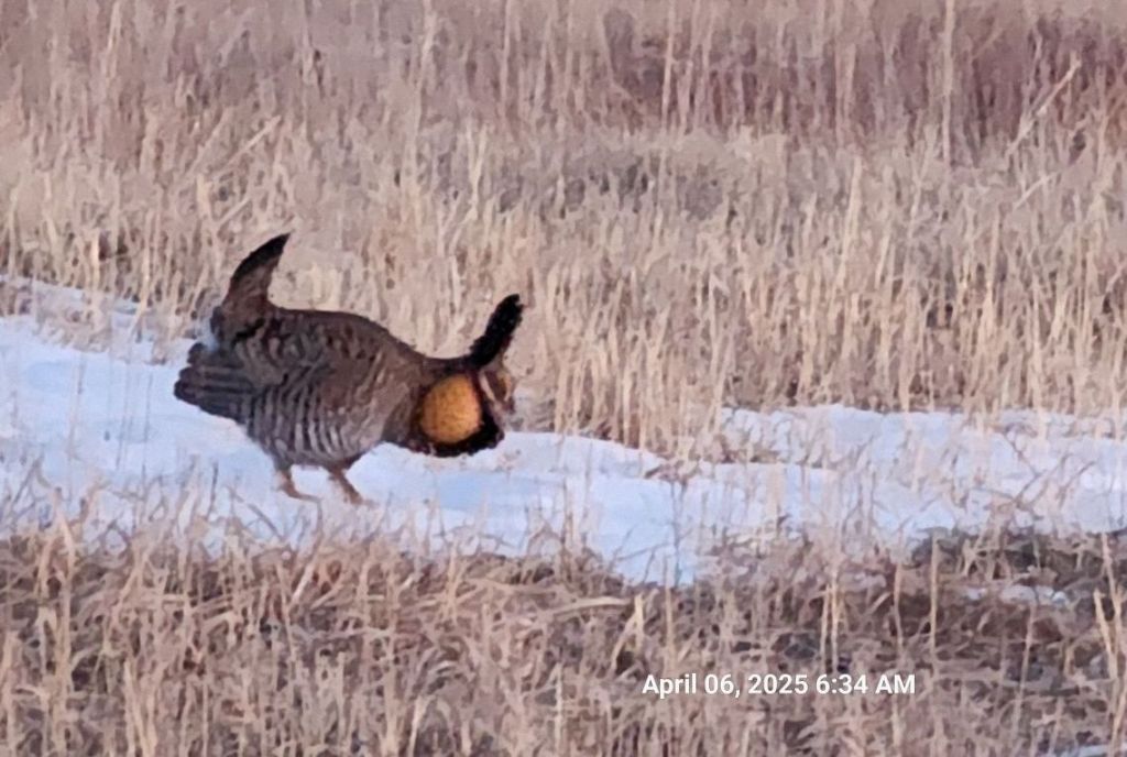 Day Six Travel to Alaska Spring&nbsp;2025