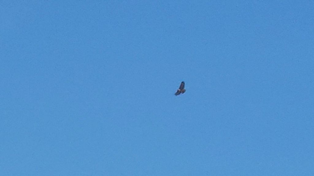 Day 7 Travel to Alaska Spring&nbsp;2025