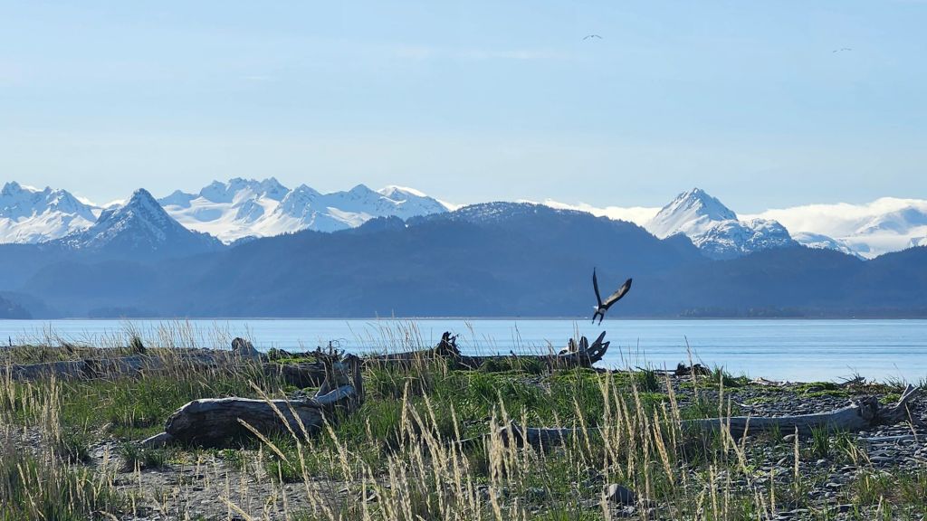 Whales, Otters, and&nbsp;Birds