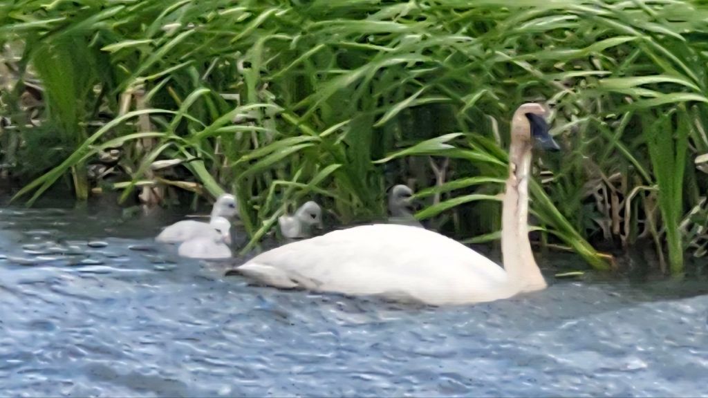 Chilly then Chilling