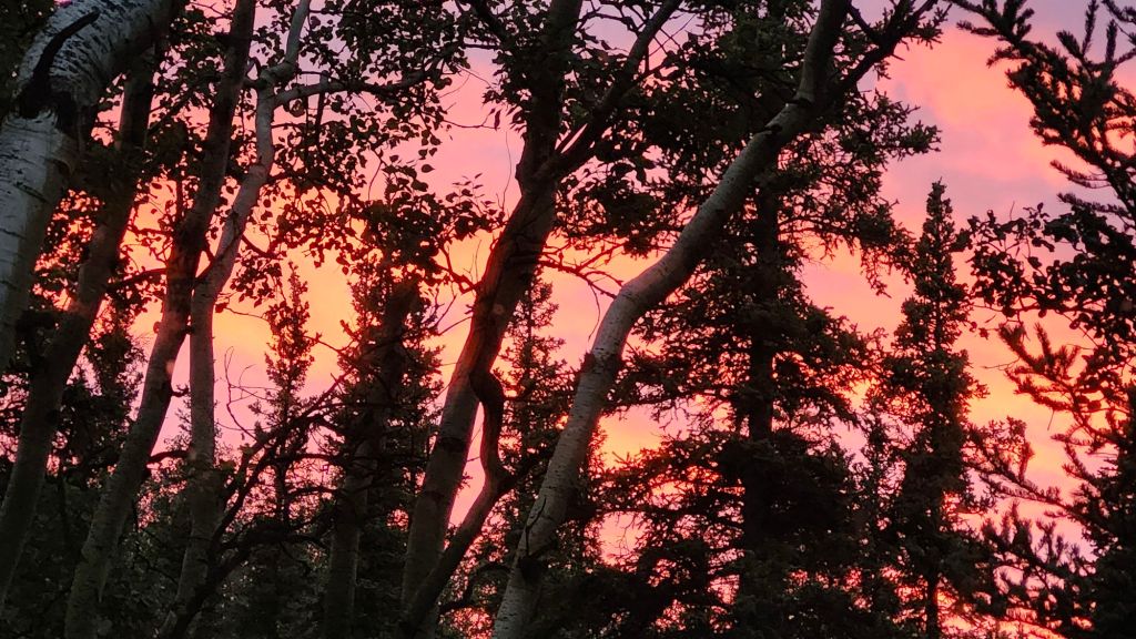 Healy Cabin, 2 weeks&nbsp;remaining?