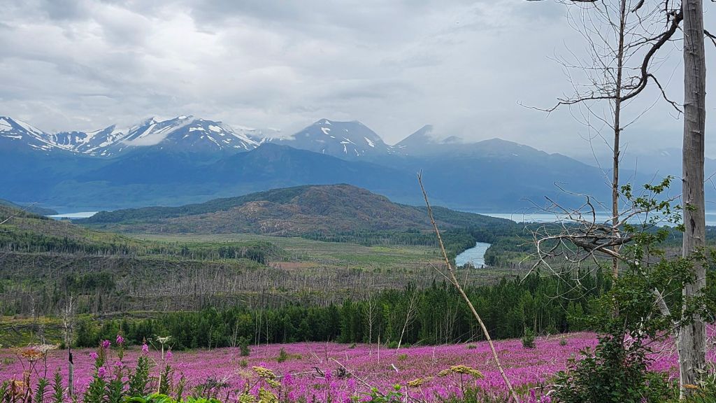Kenai Peninsula with&nbsp;Friends