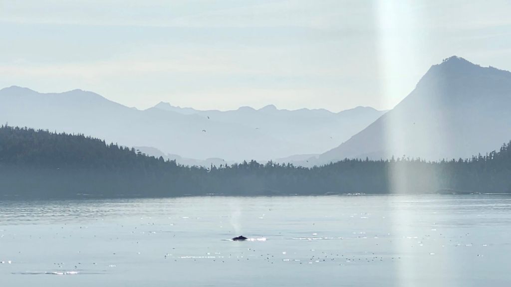 MV Columbia, Day&nbsp;4