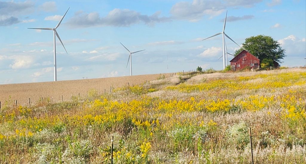 Illinois: Barns and&nbsp;Windmills