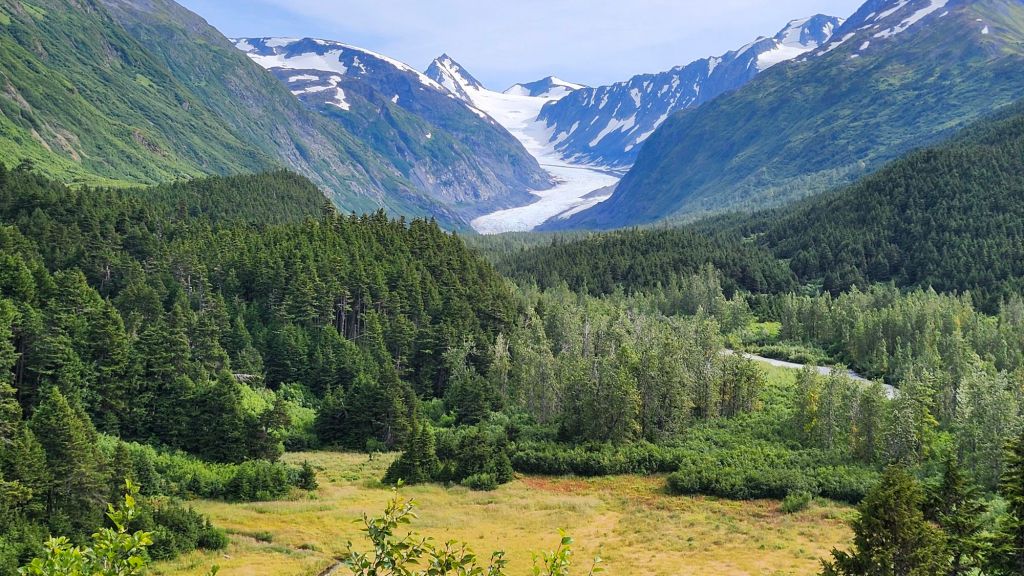 Alaskan Glaciers